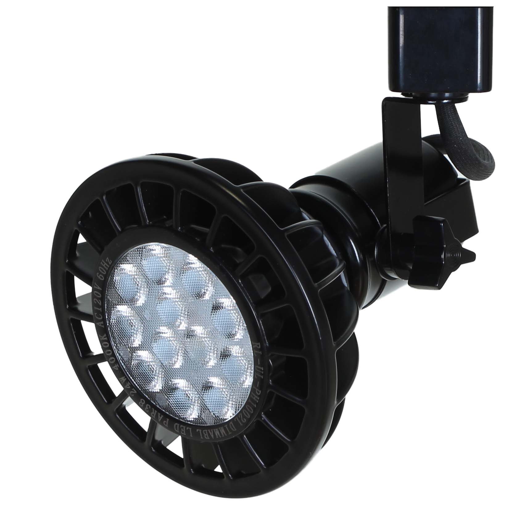 PAR38 LED Track Lighting in Black