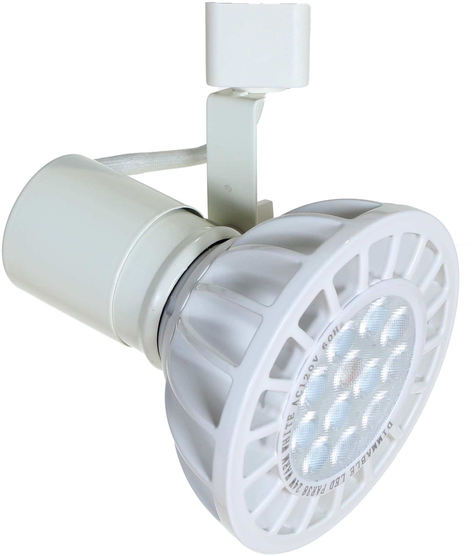 LED PAR38 LED Track Lighting in White